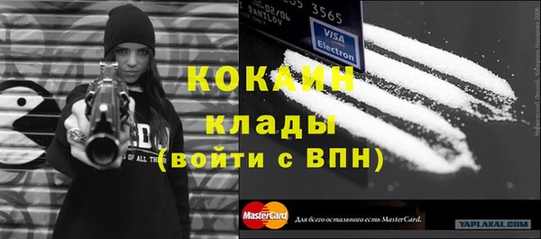 шишки Балабаново
