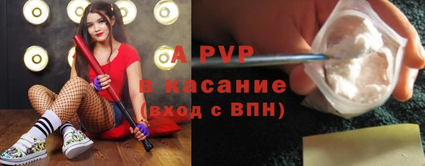 шишки Балабаново