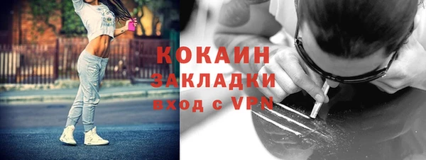 шишки Балабаново