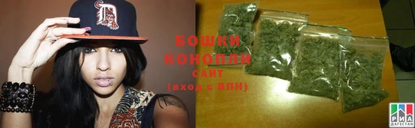 спайс Баксан
