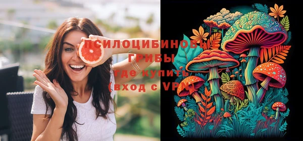 шишки Балабаново