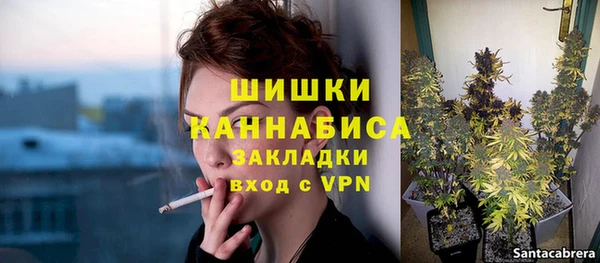 шишки Балабаново