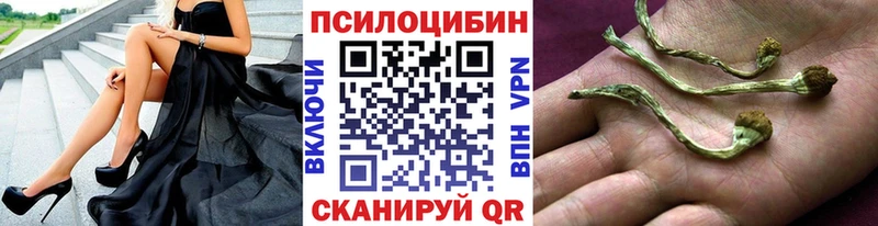 Галлюциногенные грибы MAGIC MUSHROOMS  Вуктыл 